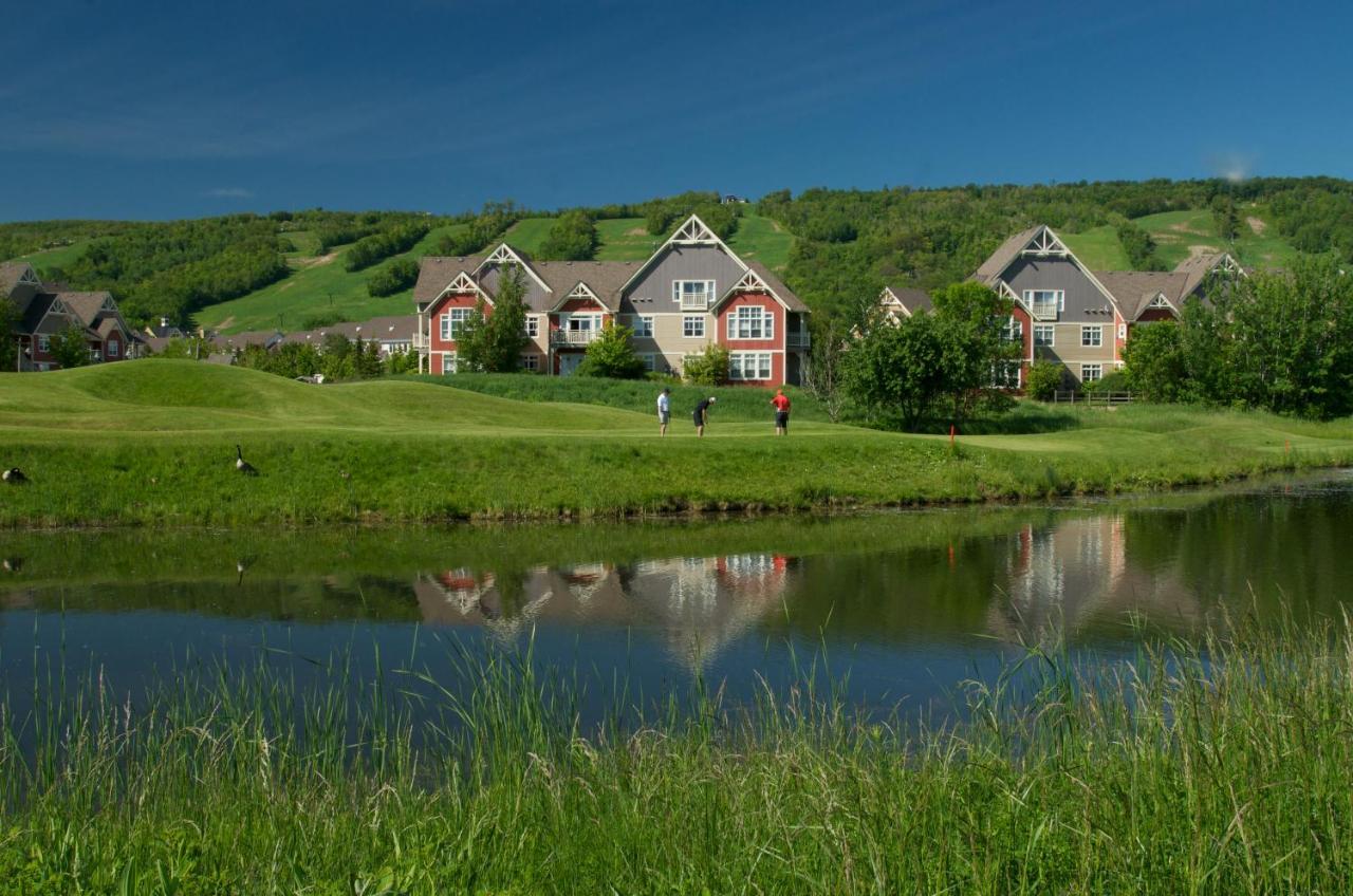 Blue Mountain Resort Home Collection Blue Mountains Zewnętrze zdjęcie